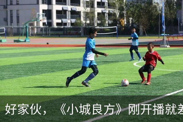 好家伙，《小城良方》刚开播就差评一片，东北网友这回真不乐意了